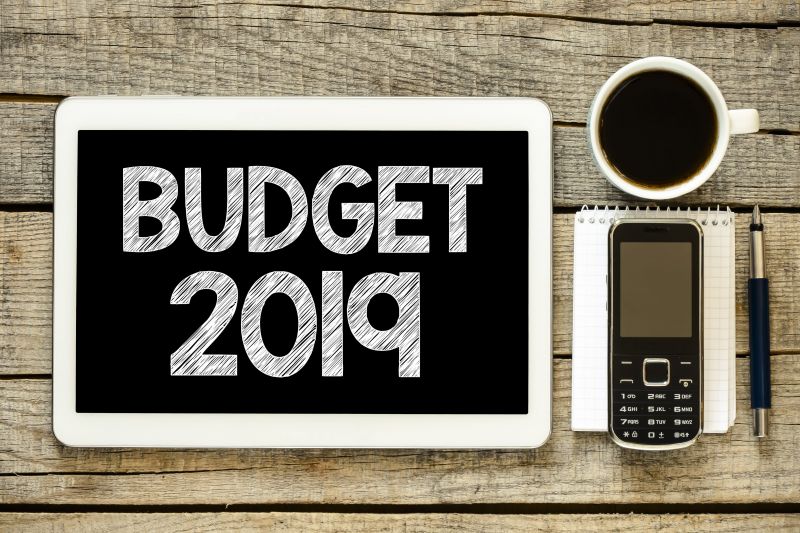 interim budget for 2019-20