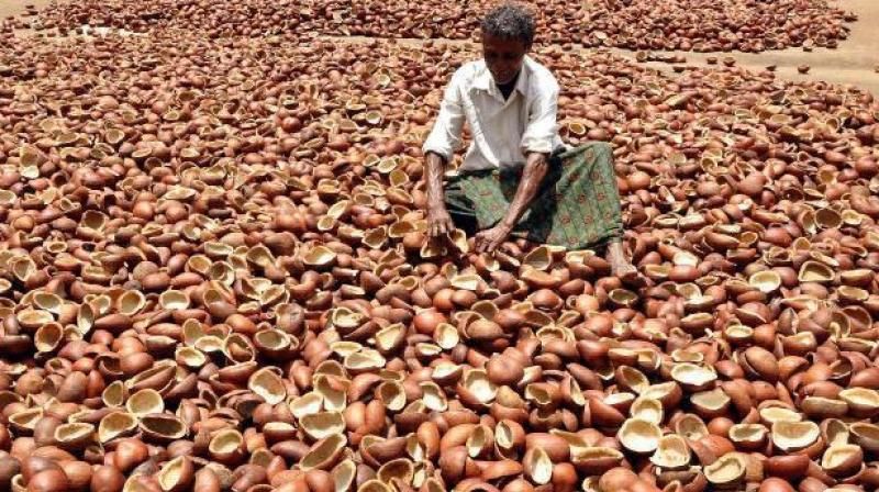 Copra office alappuzha and copra office kozhikode recovered