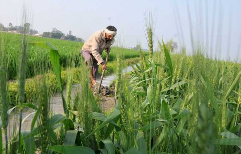 Chidambaram terms PM Kisan scheme as 'bribe for votes'