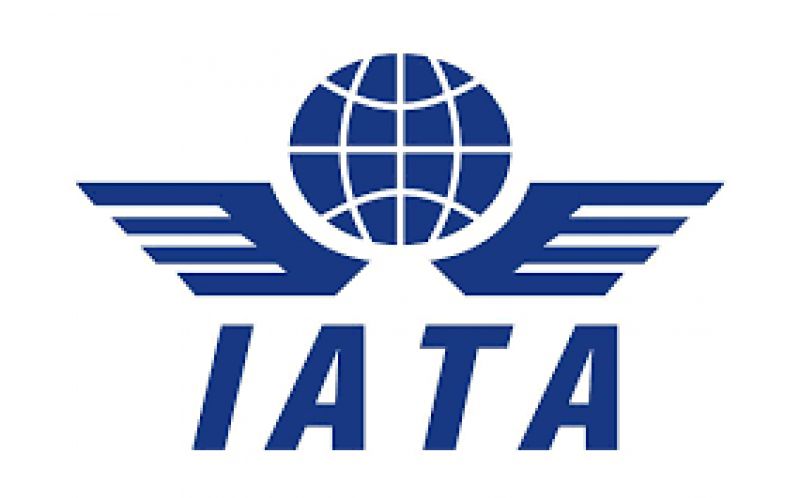  Air Transport Association (IATA)