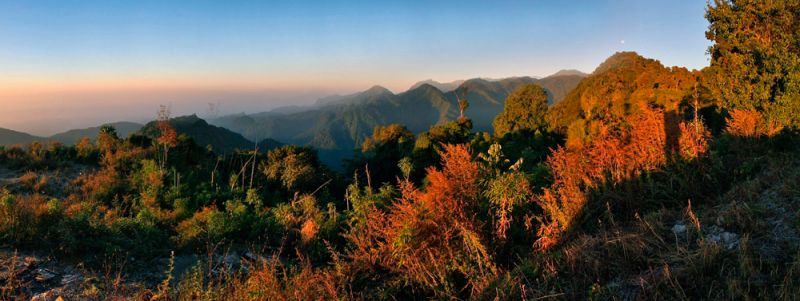 Eaglenest Wildlife Sanctuary, A cradle of biodiversity