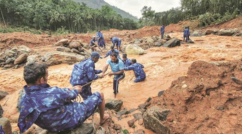 Kerala to assess impact of floods on biodiversity