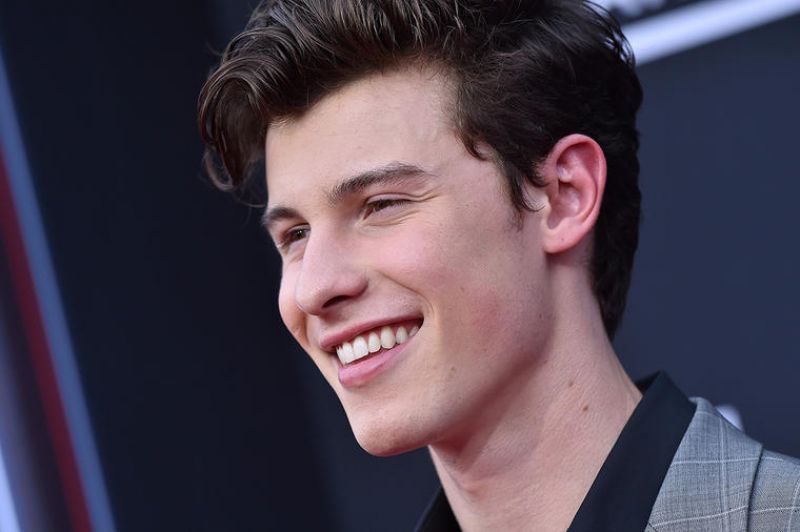 It's so overwhelming to be successful: Shawn
