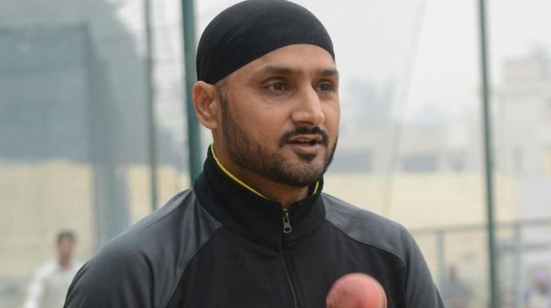 Photo shared by Harbhajan Singh on social media, viewers cant stop laughing
