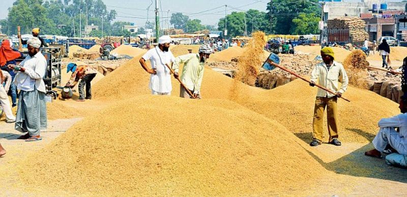Vigilance Bureau will keep close watch by surprise checking of grain markets on the instructions of CM