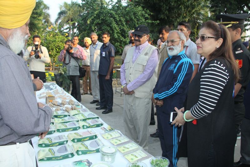 Governor Badnore Flags Off The Walkathon Of Income Tax Department Chandigarh As A Part Of The Ongoing Vigilance Awareness Week