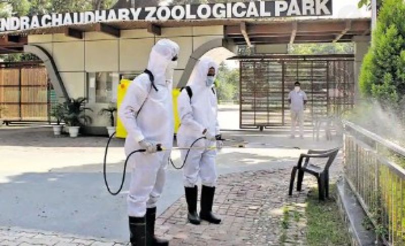 Chhatbir Zoo