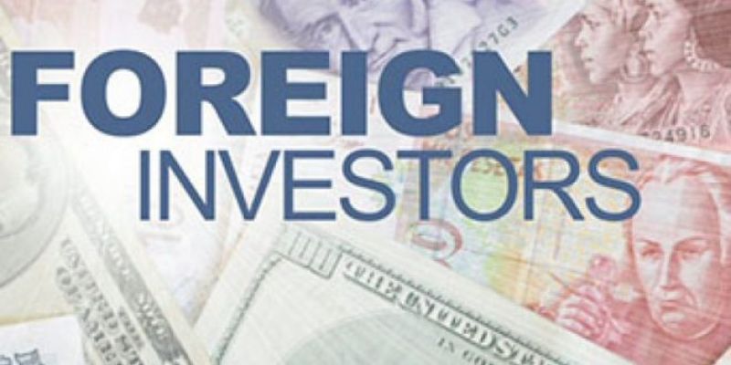 foreign portfolio investors (FPIs) 