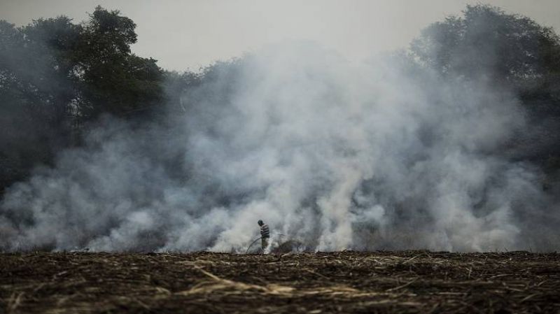 Stubble burning