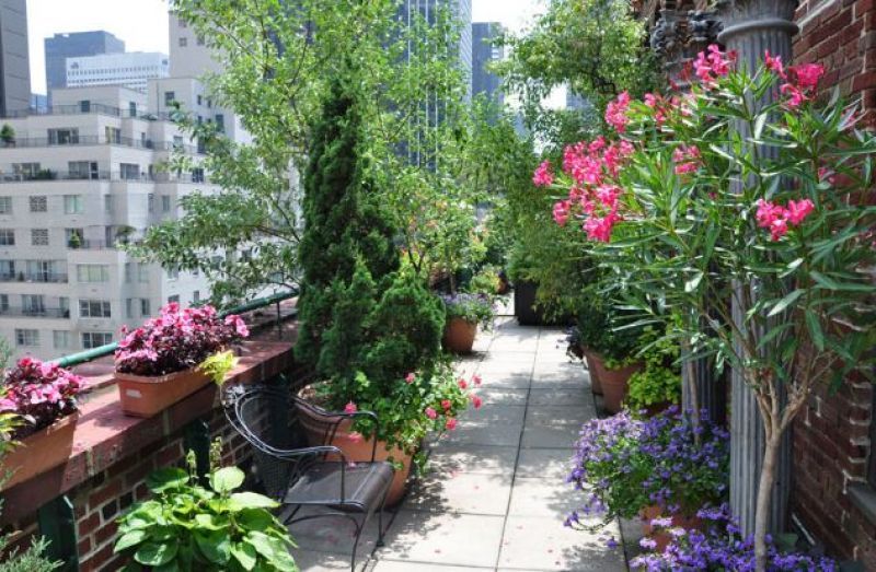 Decorate Garden with Waste Material