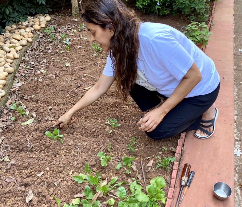Juhi Chawla Takes To Her 'new Work' Amid Lockdown