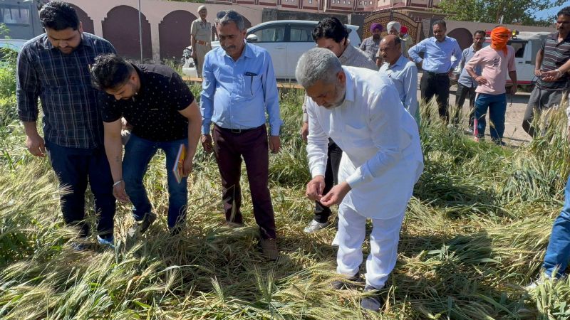 Punjab Cabinet Minister Lal Chand Kataruchakk Reviews Crops Damaged due to Unseasonal Rain in Villages Kanwan and Thakurpur of Bhoa 