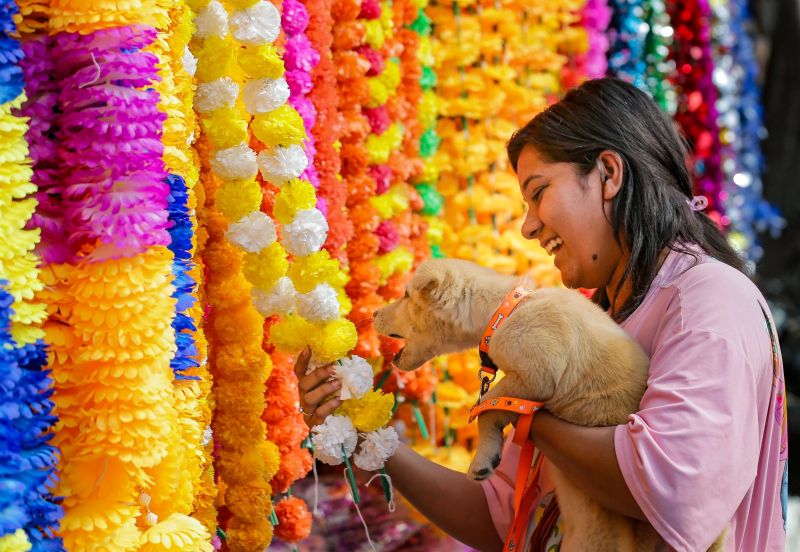 Diwali Vibes Illuminate Chandigarh as Festive Spirit Takes Over