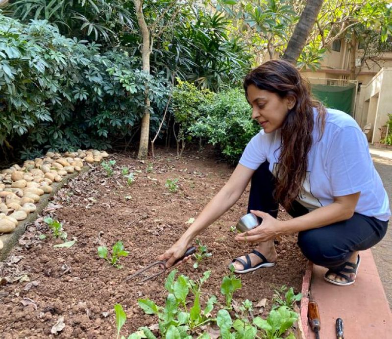 Juhi Chawla Takes To Her 'new Work' Amid Lockdown