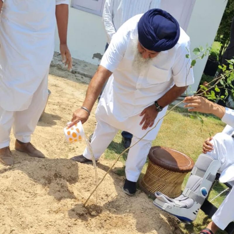 SAD Chief Sukhbir Badal & Manpreet Badal planted a palm tree in memory of late Parkash Singh Badal