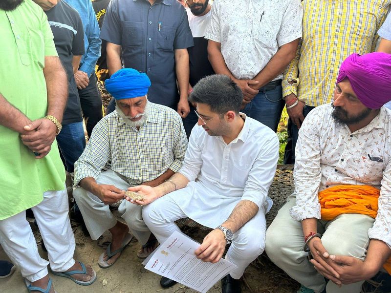 MP Raghav Chadha Reaches Rupnagar to Review Crops Damaged due to Rain
