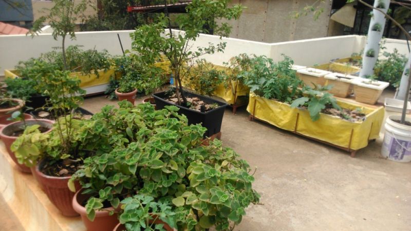 Decorate Garden with Waste Material