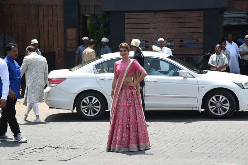 Sonam Kapoor 's wedding