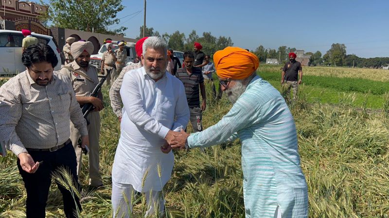 Punjab Cabinet Minister Lal Chand Kataruchakk Reviews Crops Damaged due to Unseasonal Rain in Villages Kanwan and Thakurpur of Bhoa 