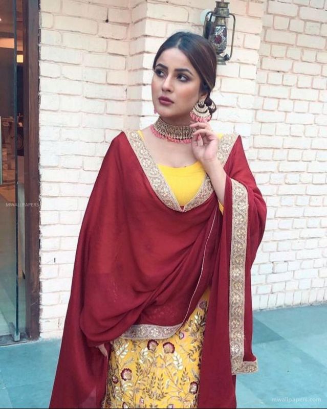 Shehnaz Kaur Gill Birthday
