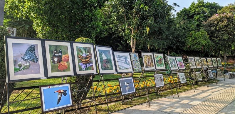 WILDLIFE WEEK - 2021 AT SUKHNA LAKE 