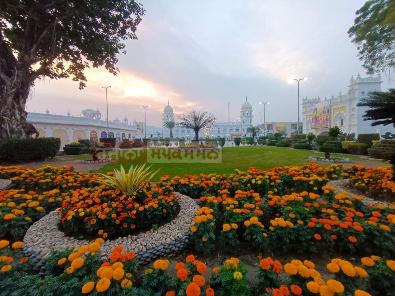  In Pics: Gurdwara Sri Nankana Sahib Radiates Timeless Charm
