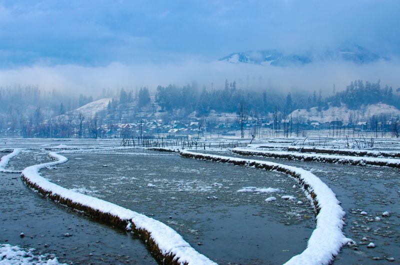 See Pics: Kashmir Blanketed in Heavy Snowfall, Tourists Enjoying Beauty 
