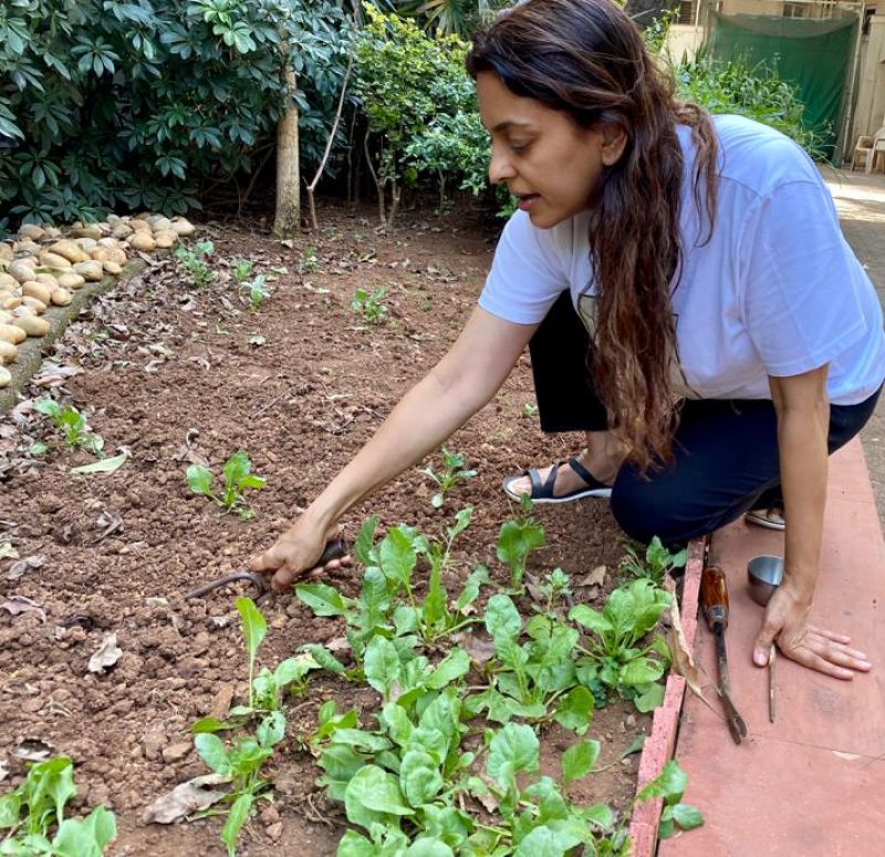 Juhi Chawla Takes To Her 'new Work' Amid Lockdown