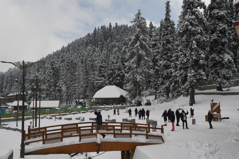 In Pics: Tourists Enjoying in the Enchanting Snowfall Bliss of Kashmir Valley