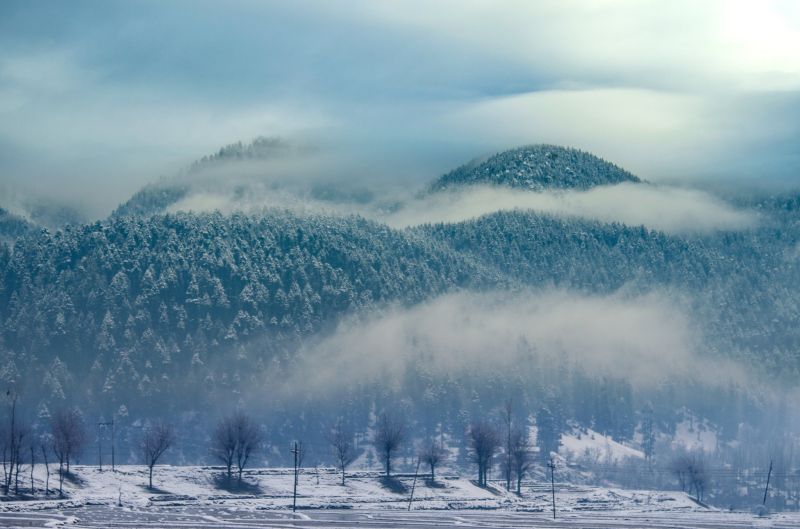 See Pics: Kashmir Blanketed in Heavy Snowfall, Tourists Enjoying Beauty 