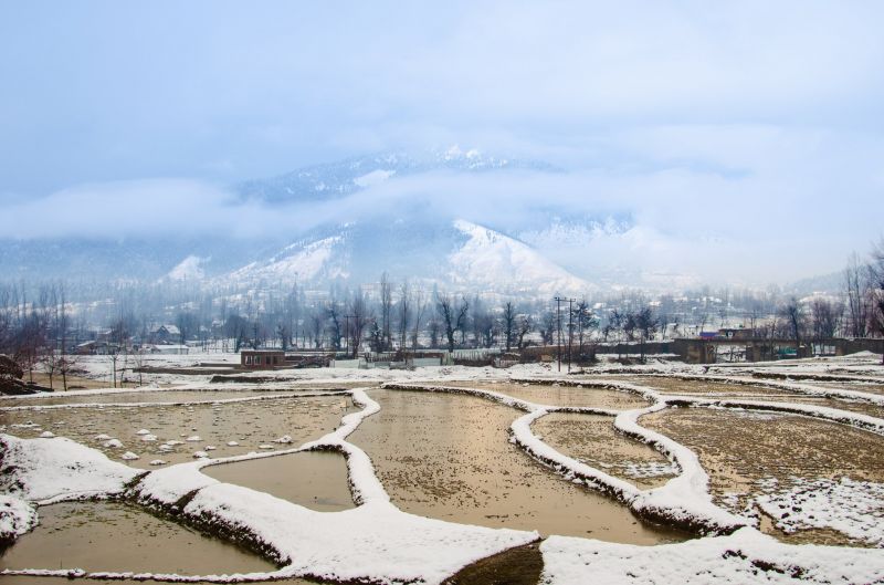 See Pics: Kashmir Blanketed in Heavy Snowfall, Tourists Enjoying Beauty 