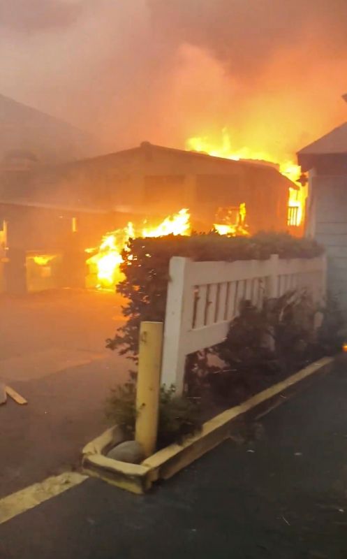 Devastating Forest Fire in Hawaii Claims 53 Lives & Destroys Over 1,000 Buildings
