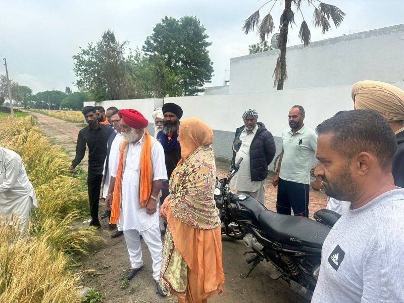 Nakodar: AAP MLA Inderjit Kaur Mann visits villages to review crops damaged due to Rain
