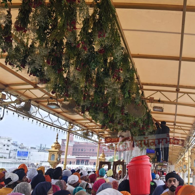 Exquisite Flower Decorations Adorn Golden Temple & Akal Takht Sahib for Sri Guru Granth Sahib Ji's Prakash Purab Celebration
