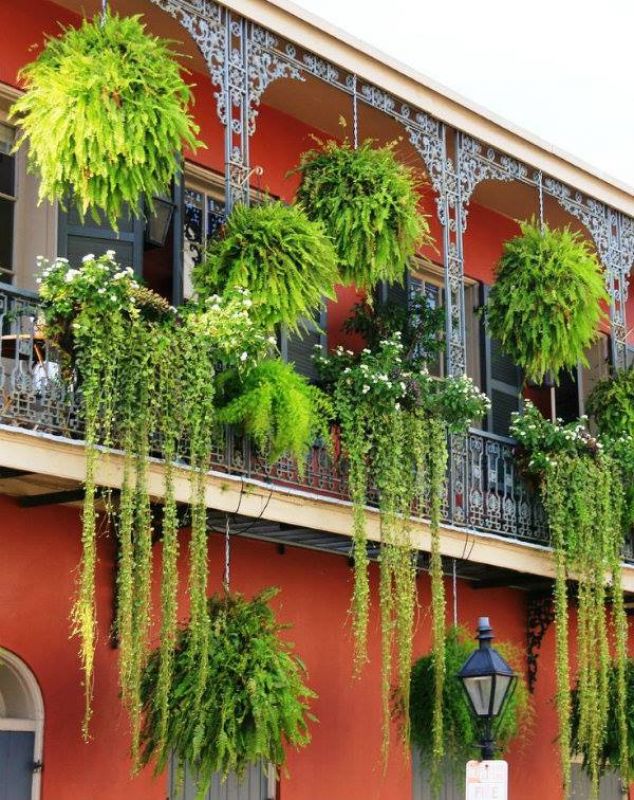 Gardening Without a Garden!!