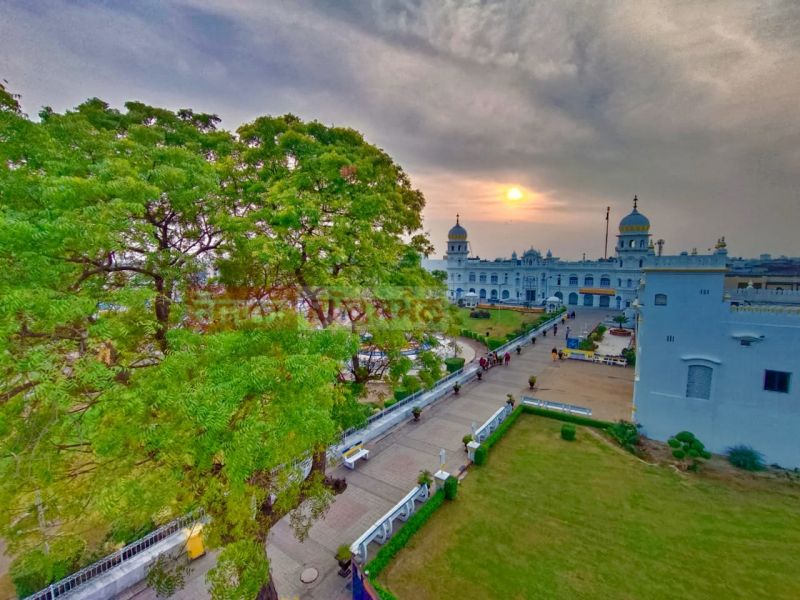  In Pics: Gurdwara Sri Nankana Sahib Radiates Timeless Charm