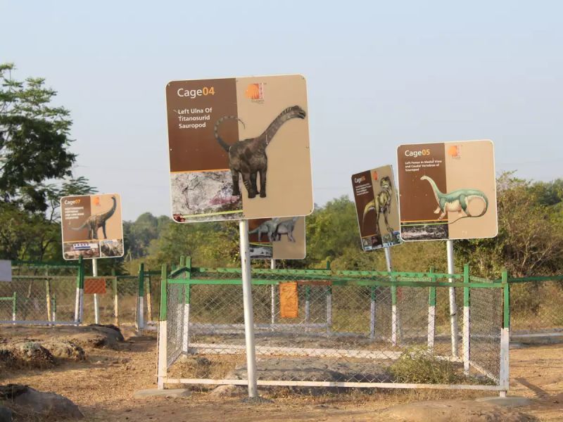 Dinosaur Park and Museum – Raiyoli, Balasinor, Gujarat