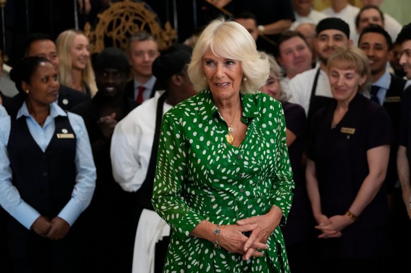 Queen Camilla Unveils Indian-Origin WWII Spy Noor Inayat Khan's Portrait at the Royal Air Force Club in London
