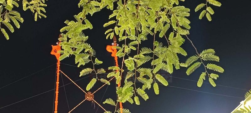 Golden Temple in Amritsar, Punjab (11-11-2023)