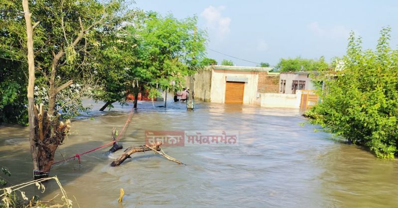 Sutlej River Flooding Worsens Village Conditions: NDRF Teams Lead Relief Operations, Education Minister and MLA Harjot Singh Bains on Ground
